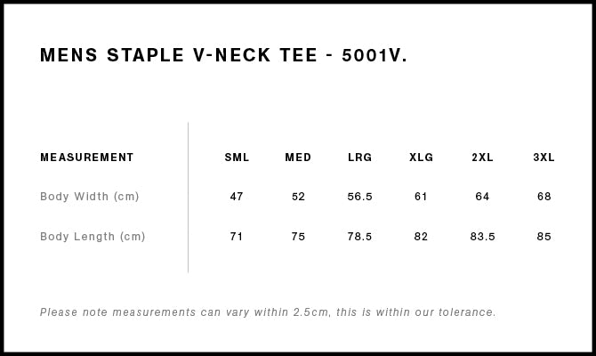 Staple V Neck Tee